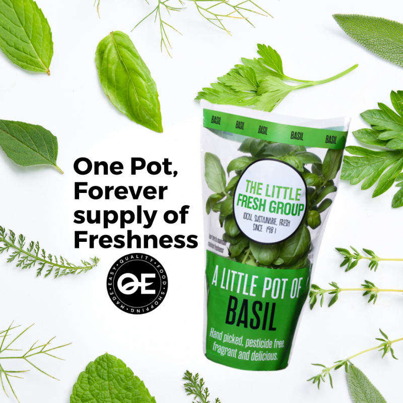 Pot of Basil - New Products - QE Food Stores