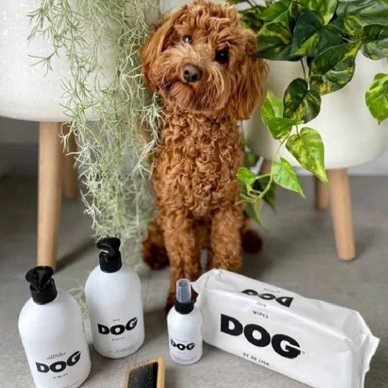 Dog by DR Lisa - New Products - QE Food Stores